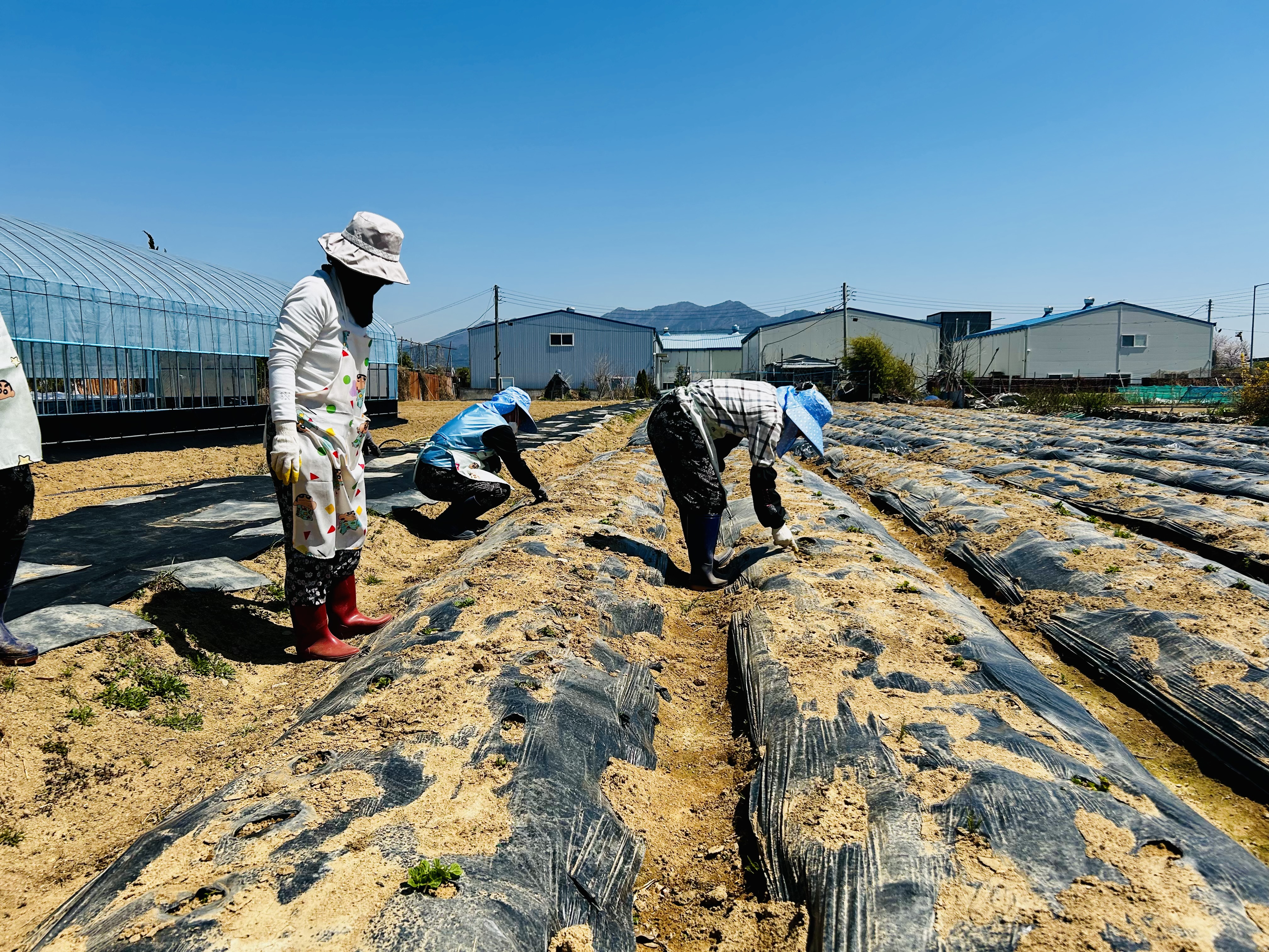 공동체형 활동사진 3